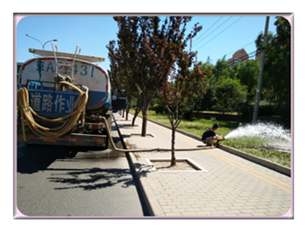 1512014678714361.png www.bjguandaoshutong.cn网站内容简介及图片(1)5947.